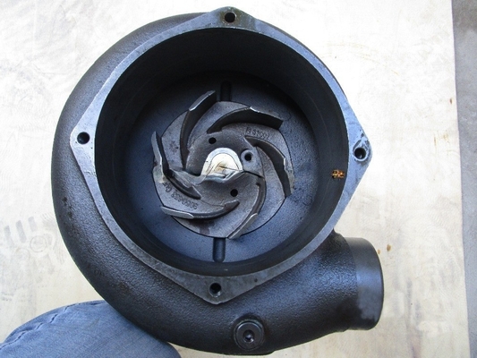 Genuine K38 3647029 Cummins Diesel Engine Cummins Engine Water Pump